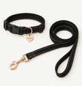 Black nylon dog leash with champagne stitching and champagne hardware, flat lay product photo